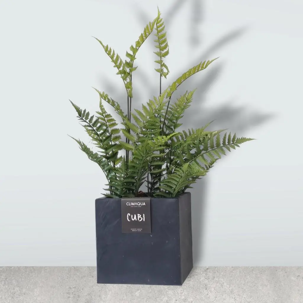 CUBI 30 Anthrazit  – Blumentopf Eckig Outdoor 29x29x29 cm Schiefer Schwarz - Image 3