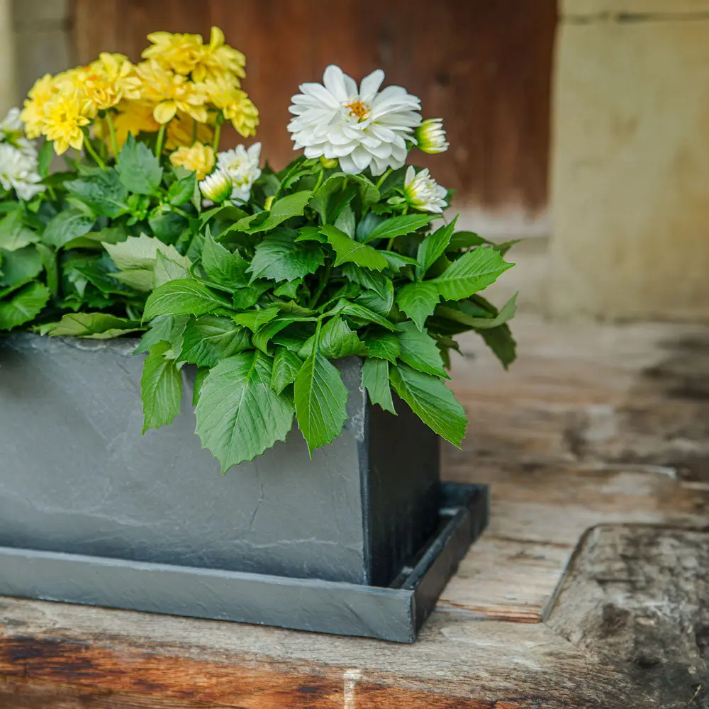 JARDI 50 Anthrazit  – Balkonkasten 50x17x17 cm 8 kg Naturschiefer Schwarz - Image 8