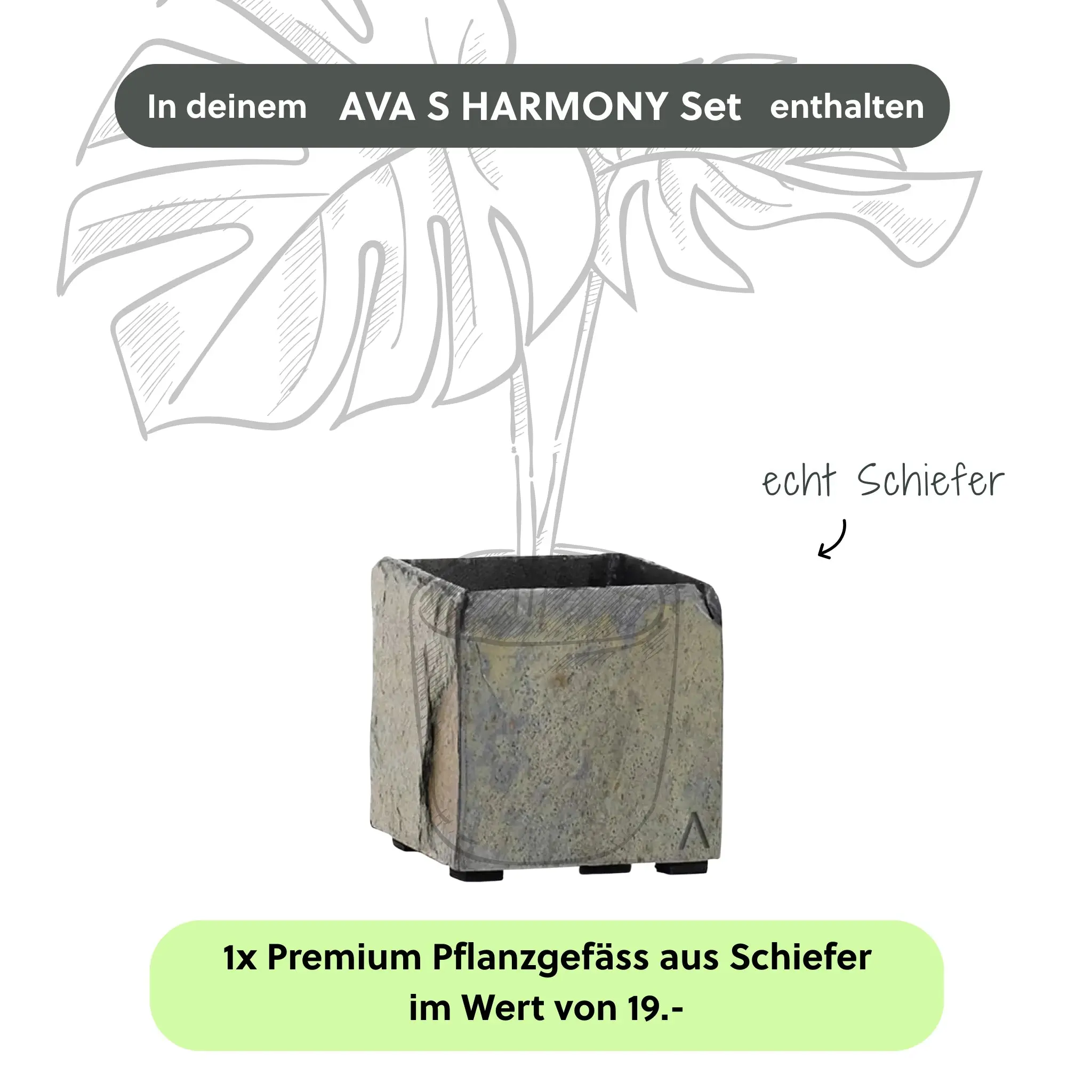 Kleine Wasserwand AVA S LIVING Set - Image 5