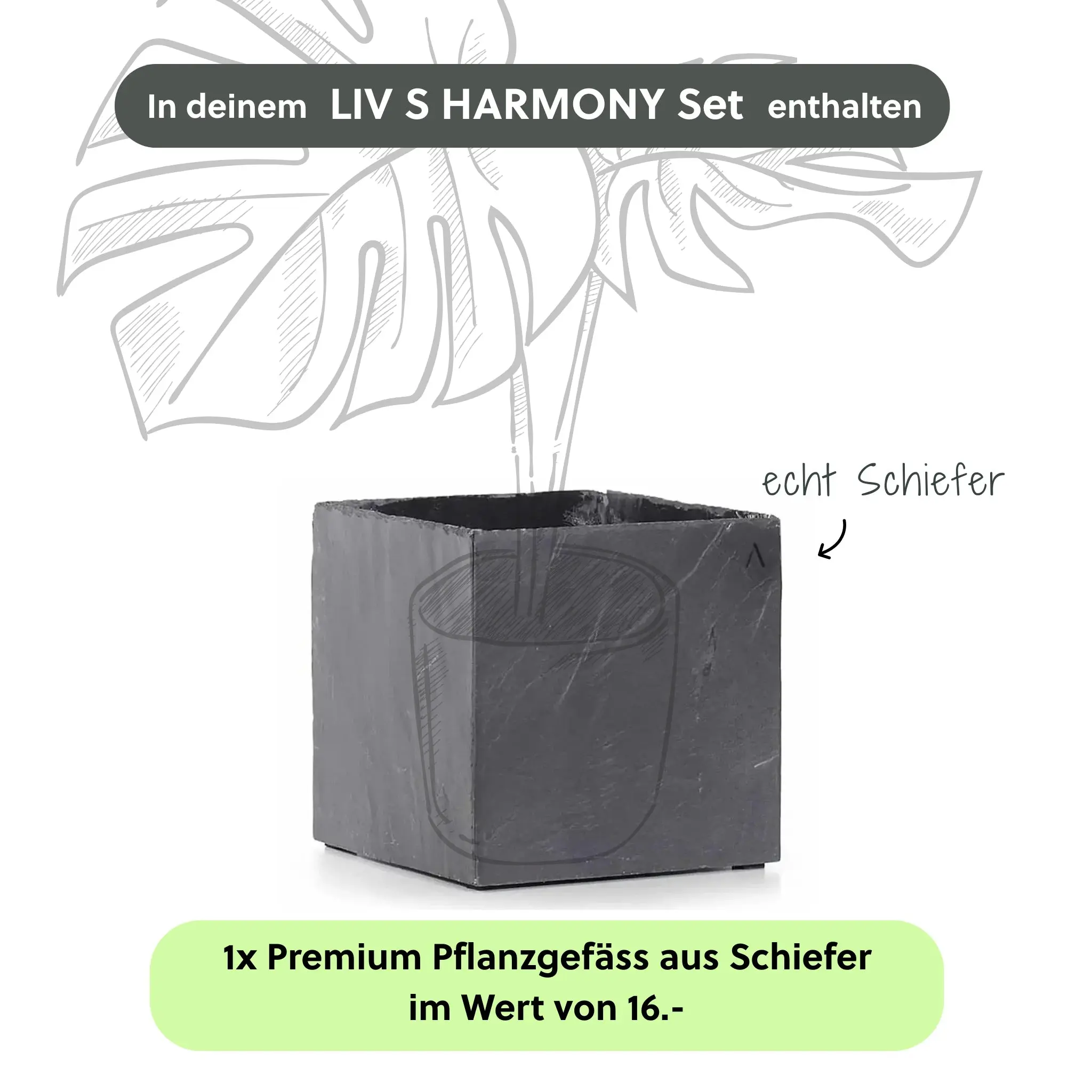 Kleine Wasserwand LIV S LIVING Set - Image 5