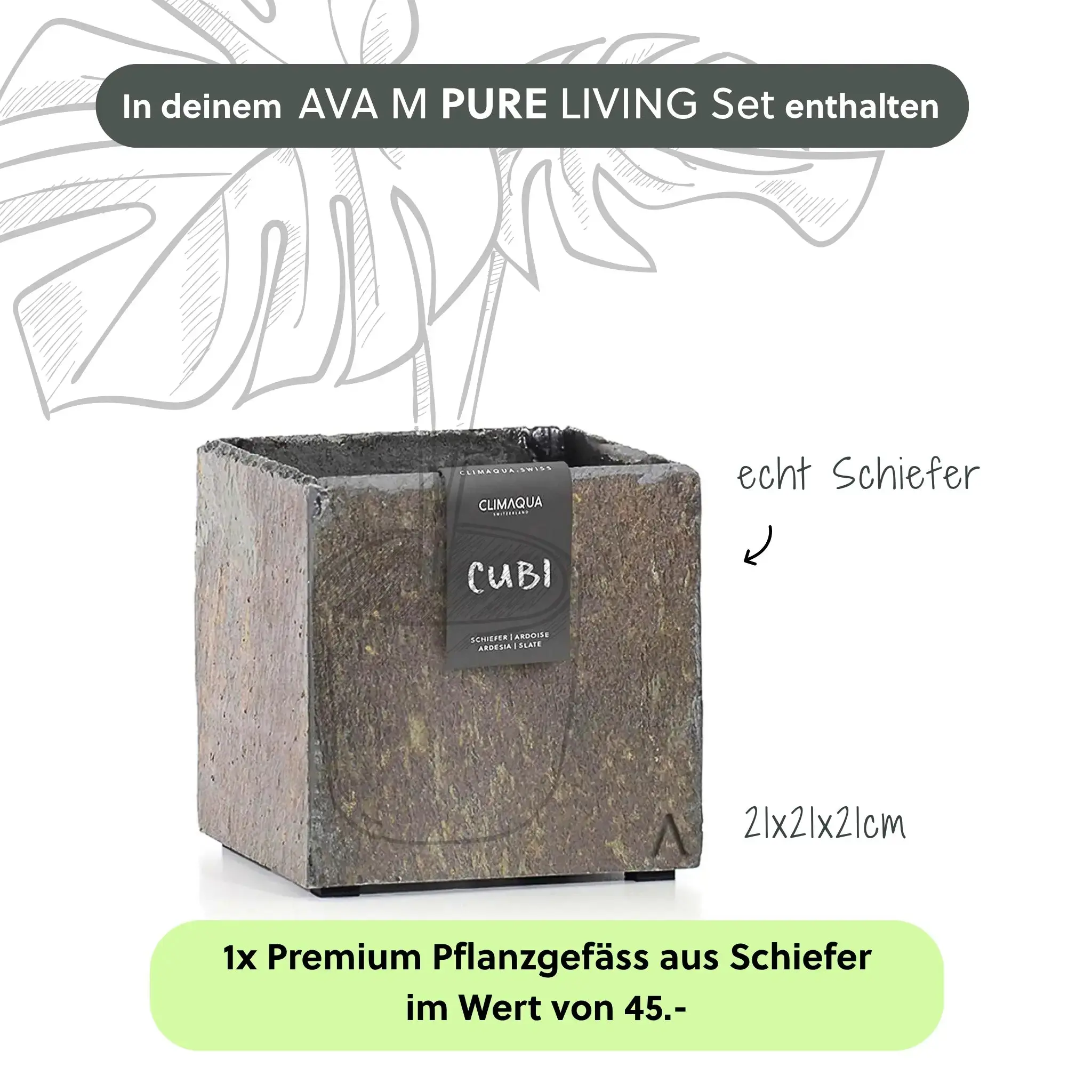 Wasserwand AVA M PURE LIVING Set - Image 4