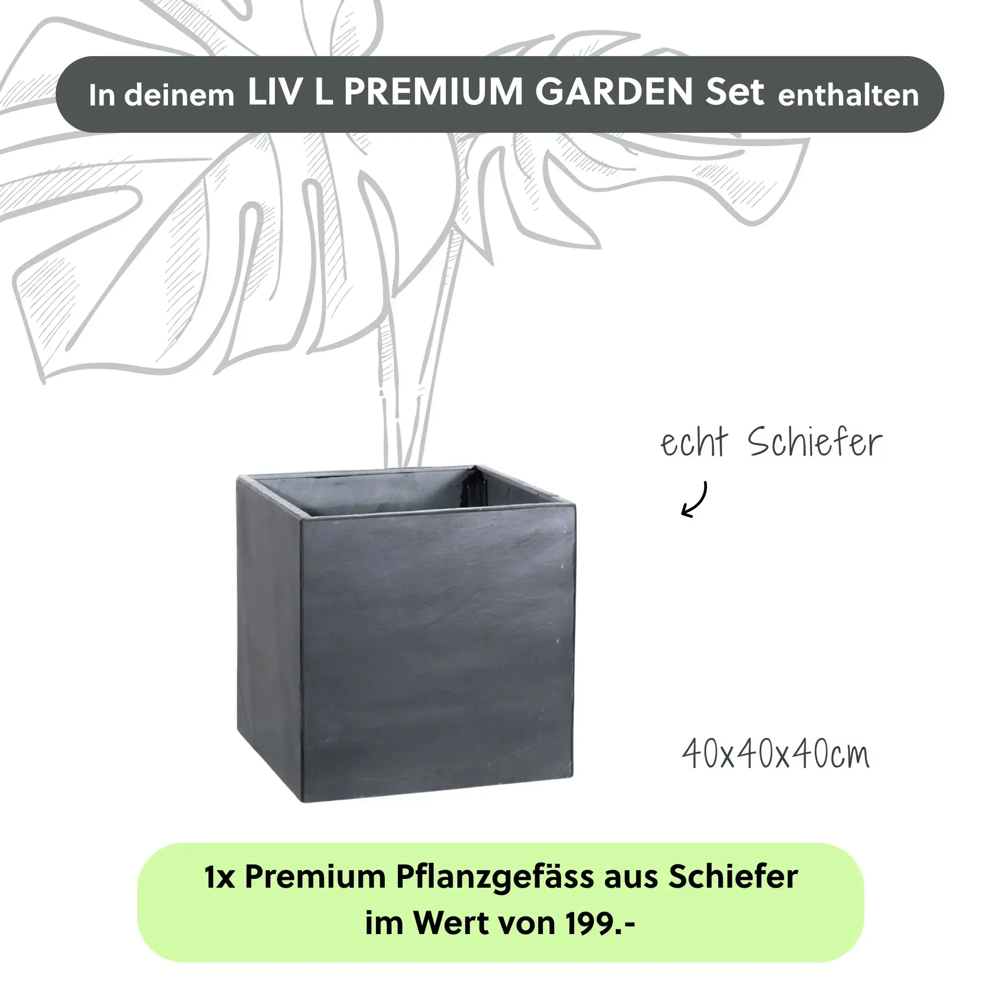 Wasserwand LIV L PREMIUM GARDEN Set - Image 4