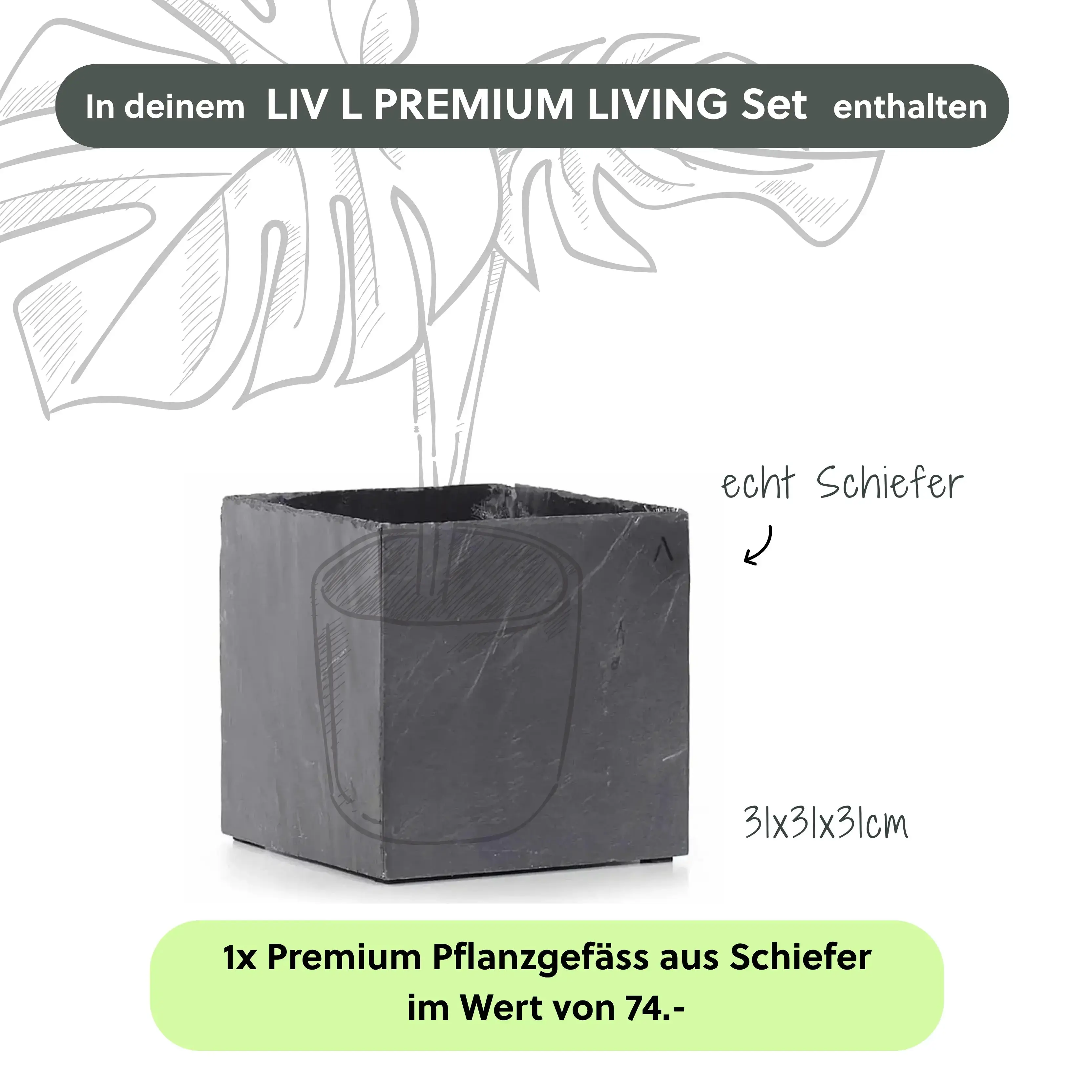 Wasserwand Set LIV L PREMIUM LIVING Set - Image 4